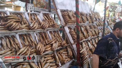 45 جنيهًا لكيلو البوري بالمنيا.. اليوم