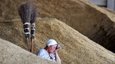 صحيفة بريطانية: مصر تحارب من أجل 