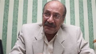 هجرس: طرد السفير التركي بداية لمواقف مصرية 