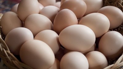 الثروة الداجنة: تراجع سعر كرتونة البيض جنيهين