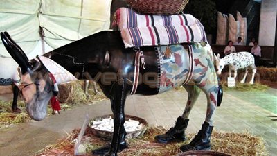 رضا عبد الرحمن يشارك في بينالي مالطا بمجسم لـ«حمار»