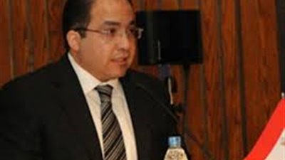 عادل اللمعي: الاستثمارات التركية بمصر لن تتأثر بعد طرد السفير