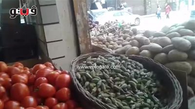 بالفيديو.. استقرار أسعار الخضراوات في الأسواق