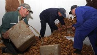 أجهزة حديثة لإنهاء تحليل عينات الحجر الزراعي في ٢٤ ساعة