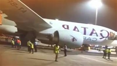 بالفيديو.. استقبال شعبي لأول دفعة أبقار في قطر