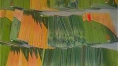 استخراج 340 بطاقة تموين وإعادة تشغيل 2300 أخرى بالوادي الجديد