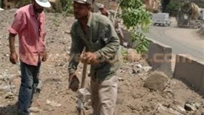 بالصور.. حملة لتشجير الطريق الدائري بالقليوبية