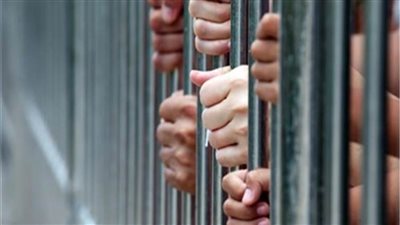 اليوم.. «جنايات القاهرة» تستمع لمرافعة محاكمة 7 متهمين باعتناق أفكار داعش