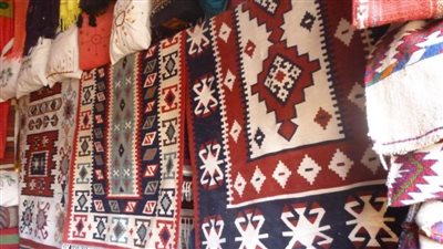 دورات تدريبية للحفاظ على التراث البيئي في الوادي الجديد