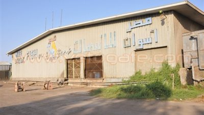 محافظ أسوان يزور مصنع الأسماك