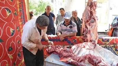 توزيع 20 عجلا سودانيا بمحليات سوهاج بـ 80 جنيها للكيلو