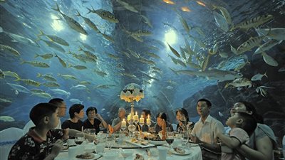 بالفيديو والصور.. شاهد أول مطعم صيني تحت الماء