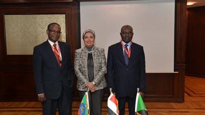 إنشاء صندوق لتمويل المشروعات التنموية بين مصر وإثيوبيا والسودان