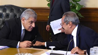 «الوزراء» يوافق على تنفيذ القطار المكهرب بين السلام والعاشر