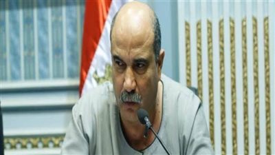 رائف تمراز: تغيير وزير الزراعة لا يسقط الاستجوابات وطلبات الإحاطة المقدمه ضده