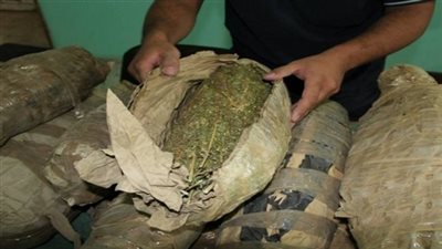 ضبط سائق بحوزته كمية من البانجو في الفيوم