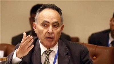 بلاغ يتهم بهي الدين حسن بالتآمر مع جهات خارجية معادية لمصر