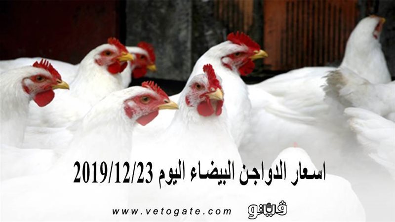فيتو