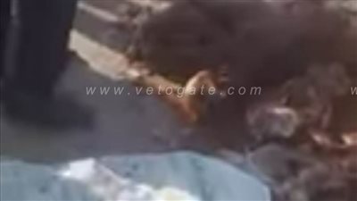 مباحث الإسكندرية تكشف لغز العثور على هياكل آدمية وجثث بالحضرة