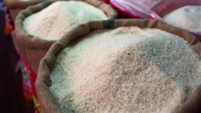 توريد الأرز المحلي ورطة وزير التموين المقبلة.. السعر يحدده العرض والطلب والتمويل يهدد شركات المضارب.. مليون و200 ألف طن احتياجات سنويا.. وسيناريو استيراد المحصول الهندي يتكرر قريبًا