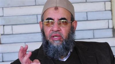 يونس مخيون: «الإرهابية» عينت 30 ألف إخواني خلال فترة حكمها