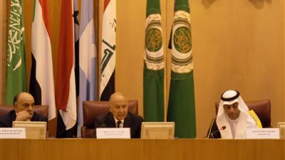 أبو الغيط: مخطئ من يظن تمييع القضية الفلسطينية بسبب الأزمات العربية