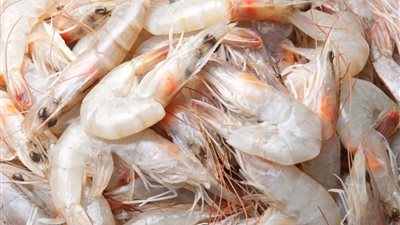 جمبري جامبو يسجل 170 جنيها بسوق العبور