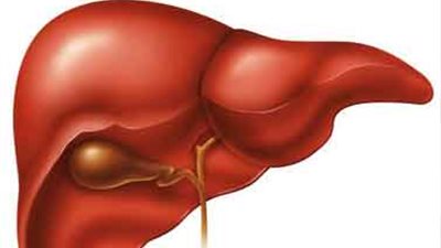 حسين خالد: سرطان الكبد الأكثر شيوعا بين الرجال في مصر