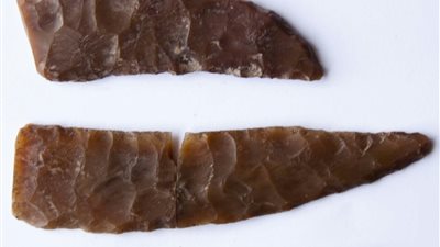 العثور على دفنات آدمية وحيوانية بتل آثار غزالة في الدقهلية