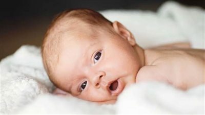 65 طفلا يدفعون ثمن الحب الحرام بالمنوفية فى 2019