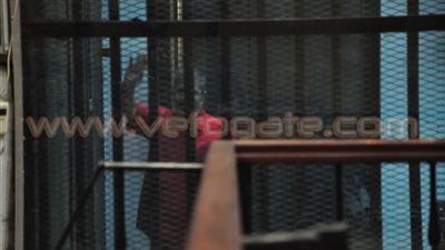 شاهد بالتخابر: تقارير الرقابة الإدارية «سرية» تفتح بمعرفة المعزول