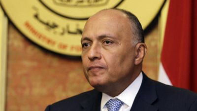 وزير الخارجية يلتقي زعيم الأغلبية البرلمانية بالبوندستاج الألماني