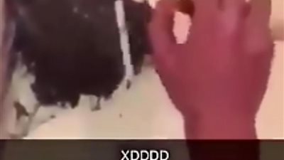 مراهق يجبر طيورا صغيرة على تدخين السجائر