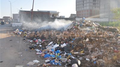 بالفيديو.. أهالي الإسكندرية لـ«ليلى إسكندر»: «الزبالة ملت الشوارع»