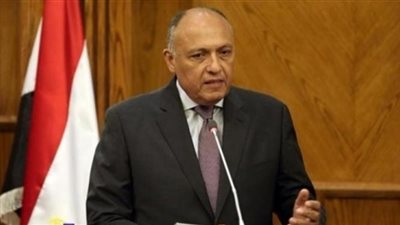 سامح شكري: نسعى لإنهاء الصراع العربي الإسرائيلي وإقامة دولة فلسطينية