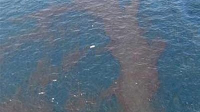 باحث كيمياء: «المازوت» المسرب بنهر النيل يشكل خطرا على صحة الإنسان