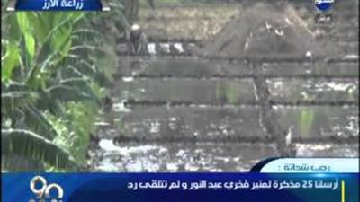 بالفيديو.. «شعبة الأرز» تصف وزير الصناعة بـ«المغيب»