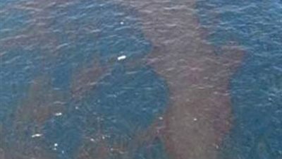 بعد تسرب «المازوت» بنهر النيل بأسيوط.. مدير «القصر الفرنساوي»: غاز كيميائي يسبب التسمم.. «القومي للبحوث»: يشكل كارثة على الأحياء النهرية.. و«البيئة» تعلن عن خطة