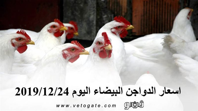 فيتو