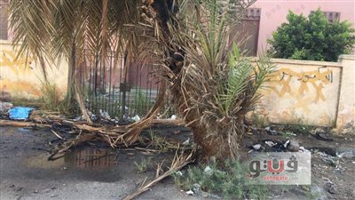 بالصور.. السيطرة على حريق محدود في محيط الشهر العقاري بالإسماعيلية