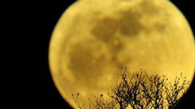 «قمر عملاق» في سماء مصر غدًا.. «بدر الحضيض» الاسم العلمي.. يمكن رؤية الظاهرة بالعين المجردة وسهلة بالنسبة لسكان الأرياف.. فلكي: الظاهرة يبدو فيها القمر أكبر حجمًا بنسبة 14% وأشد سط