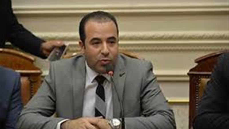 النائب أحمد بدوى،