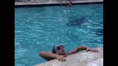 سقوط مروع لامرأة في حمام سباحة (فيديو)