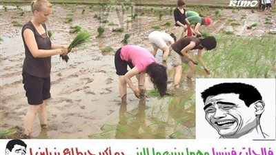 ساخرون.. فلاحات فرنسا يزرعن الأرز