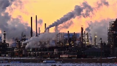 دراسة جديدة تكشف تأثير تغير المناخ والاحتباس الحراري على الحيوان