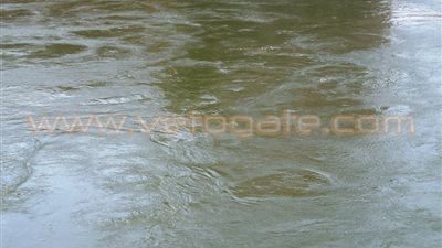 بالصور.. وصول «بقعة المازوت» إلى مياه «الفشن» ببنى سويف