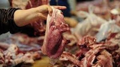 ضبط 1250 كيلو من اللحوم والدواجن الفاسدة بمطعم شهير بمدينة نصر