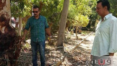 رئيس حي الشرق ببورسعيد يأمر بفتح مشتل حديقة فريـال