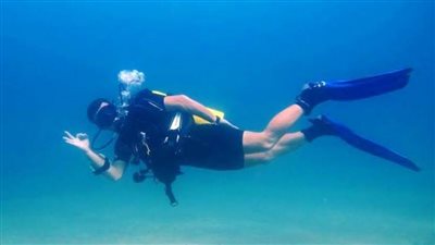 بالأسماء.. عقوبات وزارة السياحة لمخالفي ضوابط الغوص