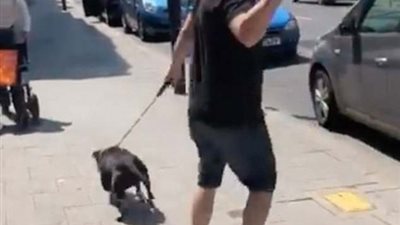 رجل يترك كلبه يلهث في الشمس خارج متجر دون رحمة (فيديو وصور)